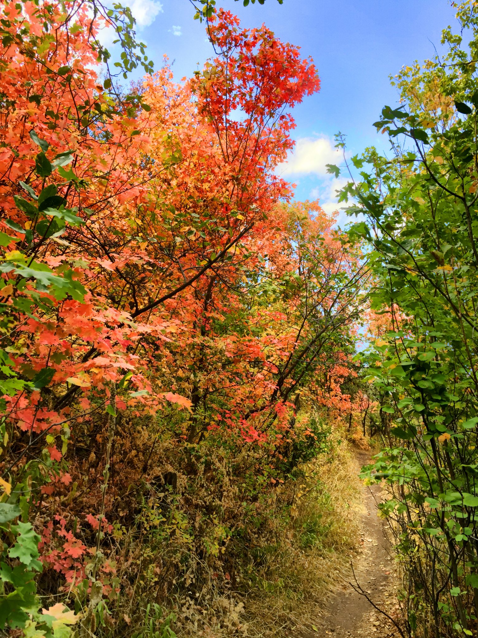 Criminal Justice System | Mountain Mediation Center | Restorative